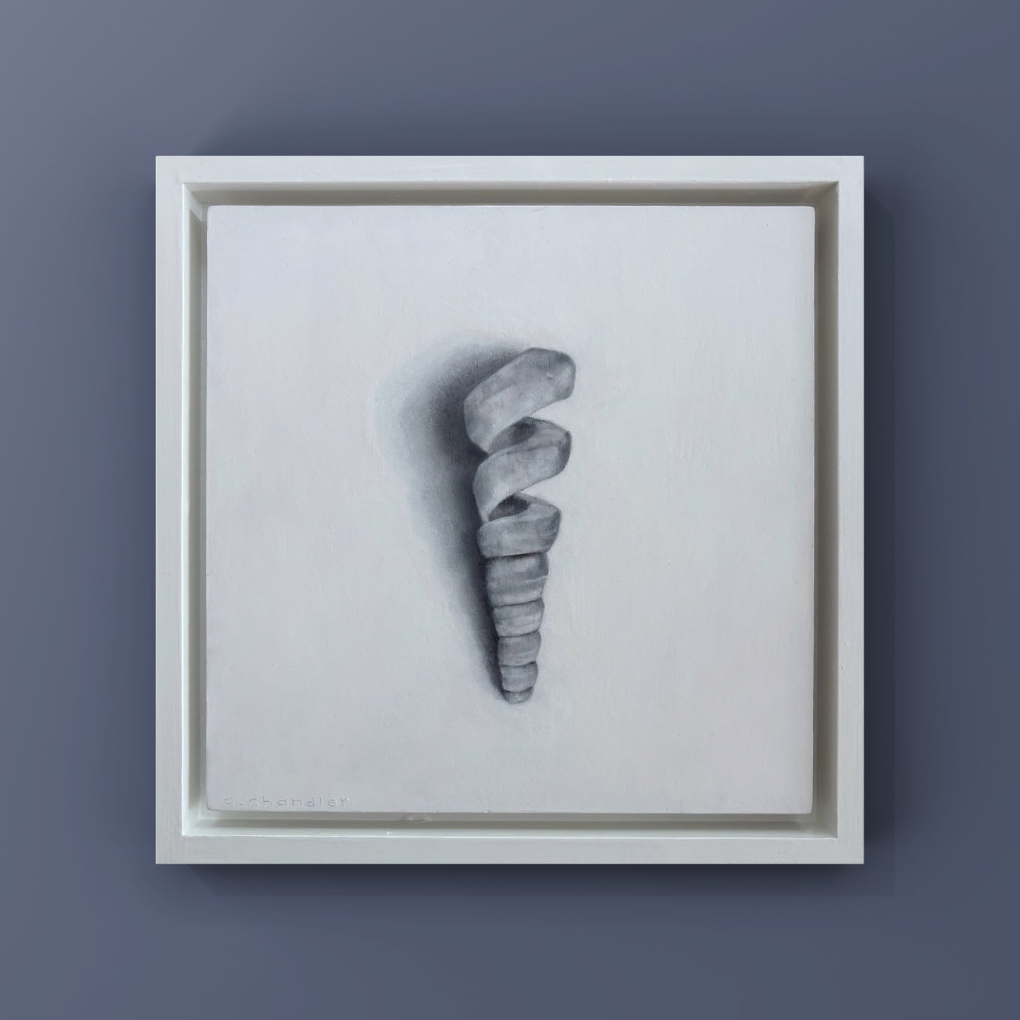 SPIRAL SHELL