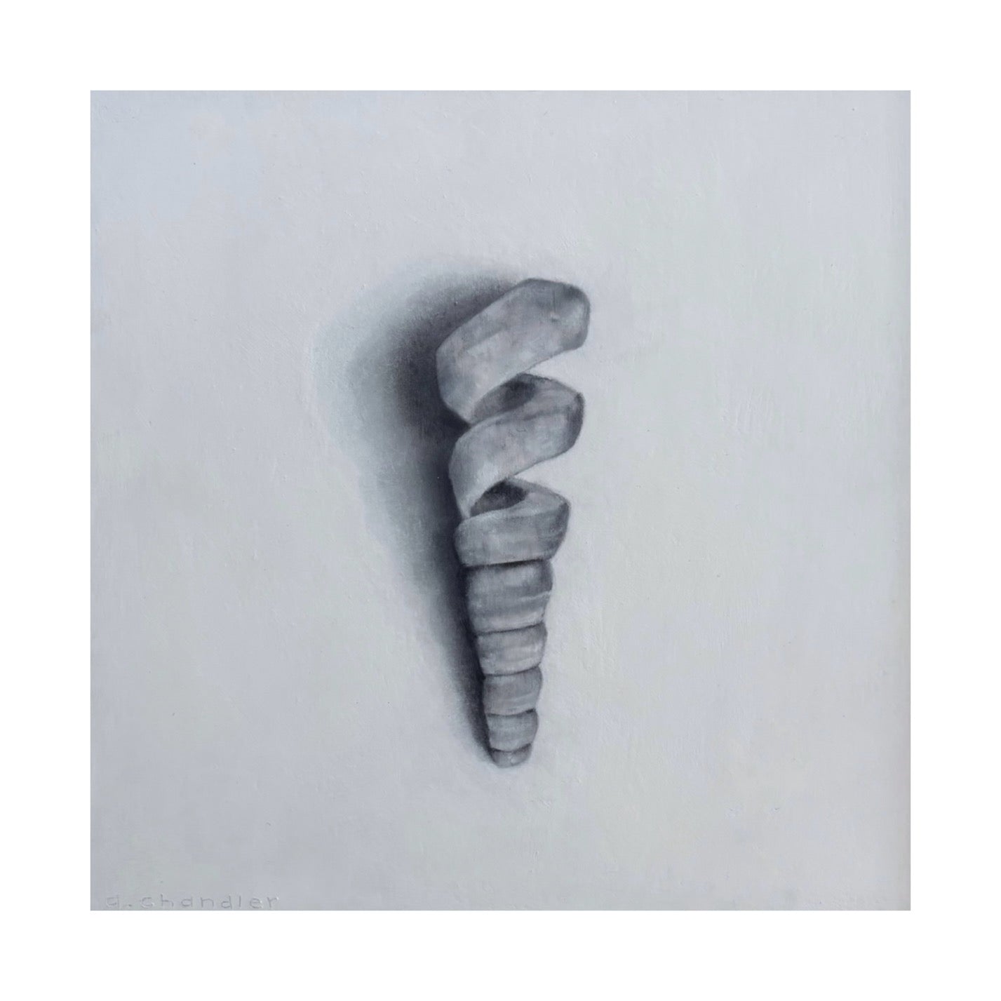 SPIRAL SHELL