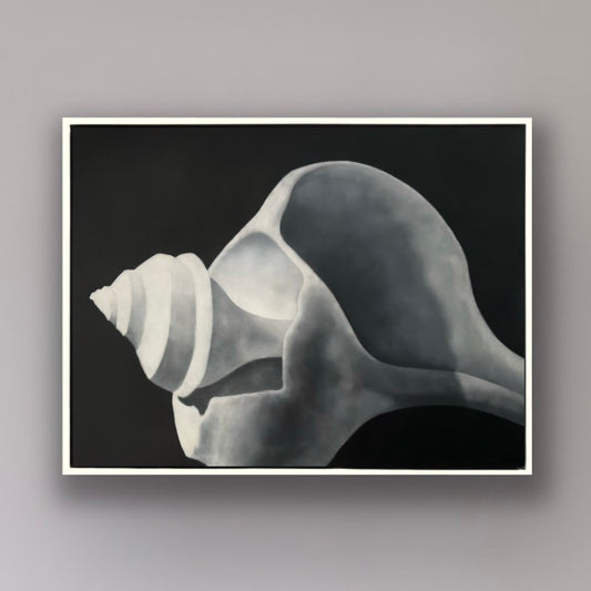 CHANNELED WHELK