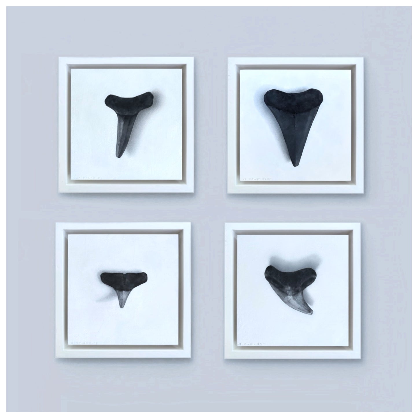 S.T. Collection (No. 1-4)