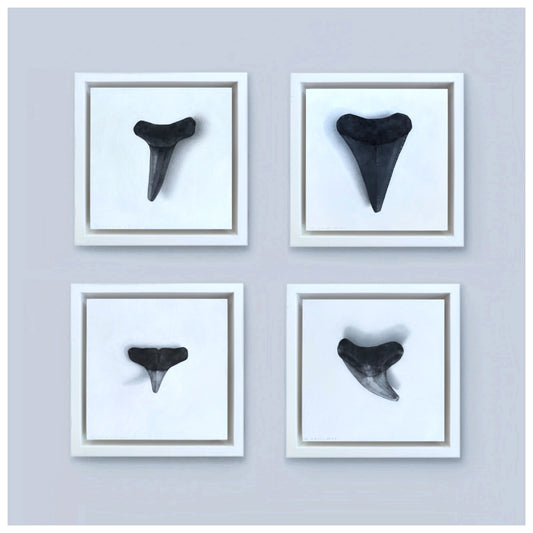 S.T. Collection (No. 1-4)