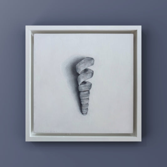 SPIRAL SHELL