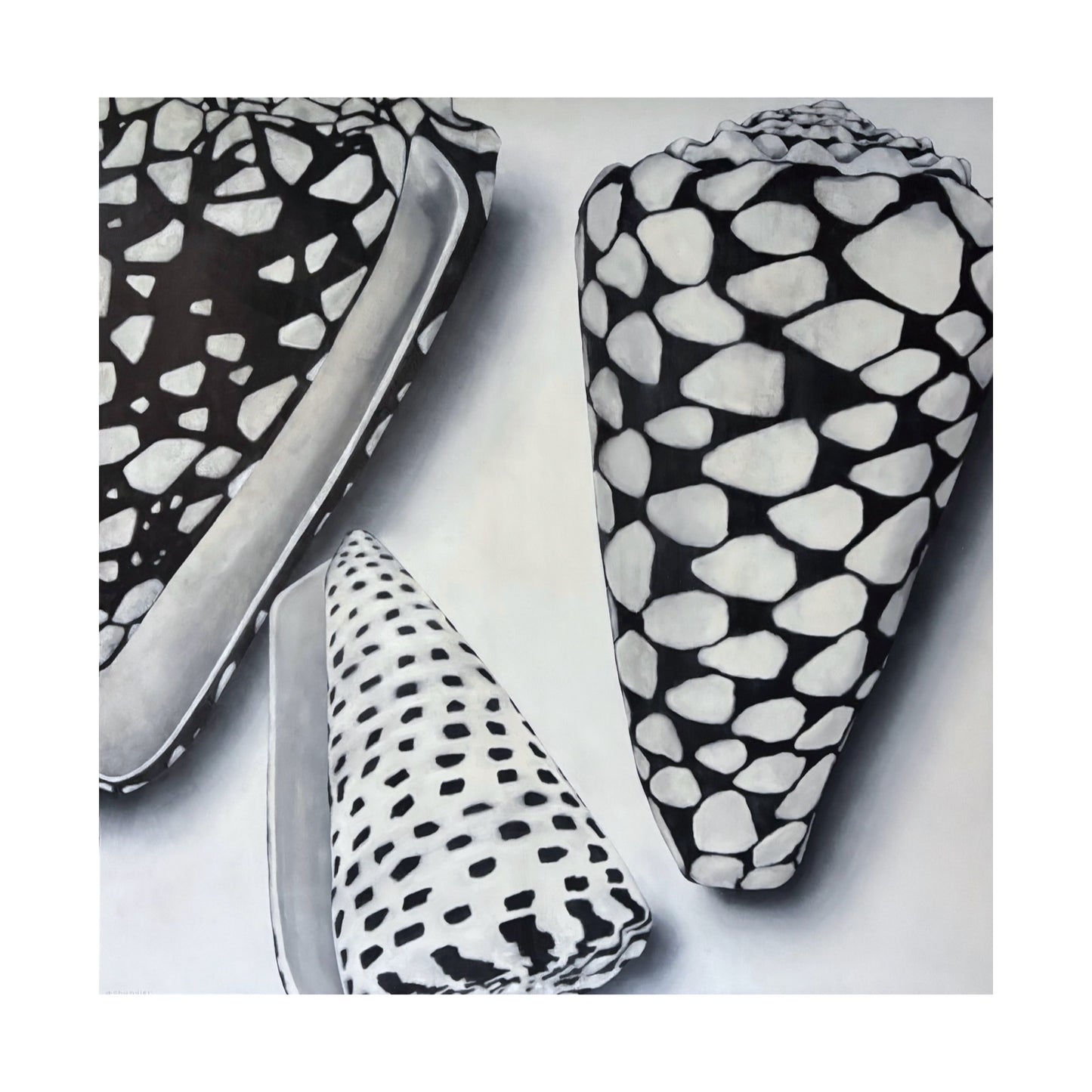 CONES
